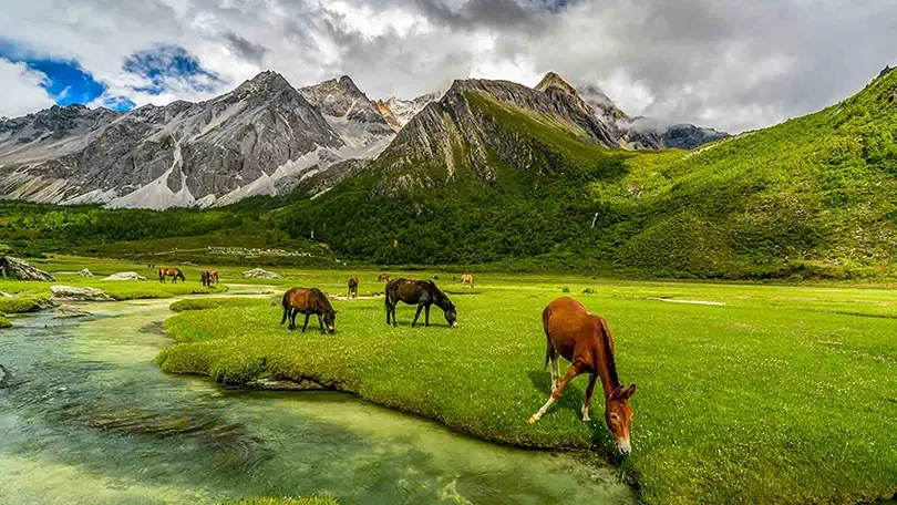Kashmir